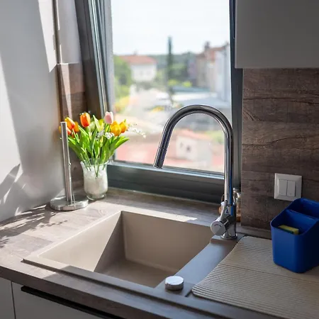 Happy Day 1,2,3 Pula