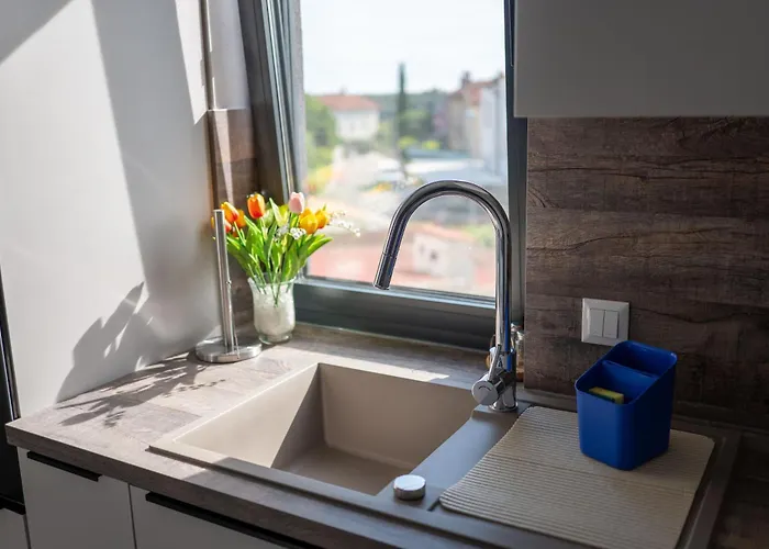 Happy Day 1,2,3 Pula