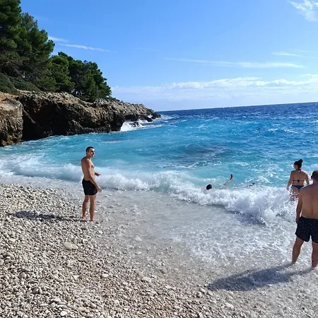 Happy Day 1,2,3 * プーラ